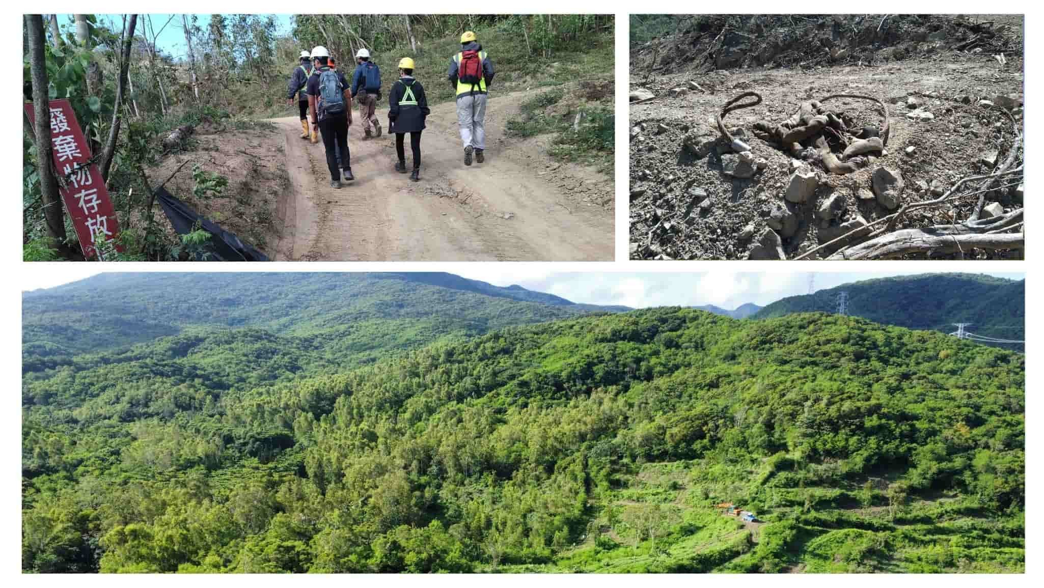 人工林場裡的「有」痕山林