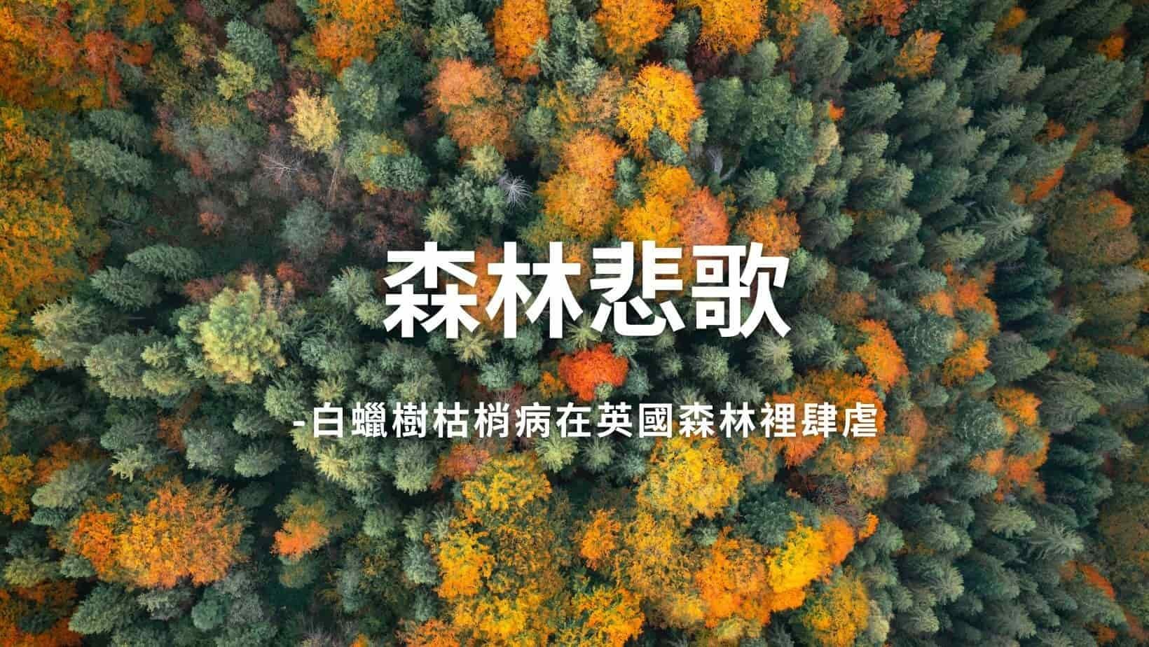 森林悲歌