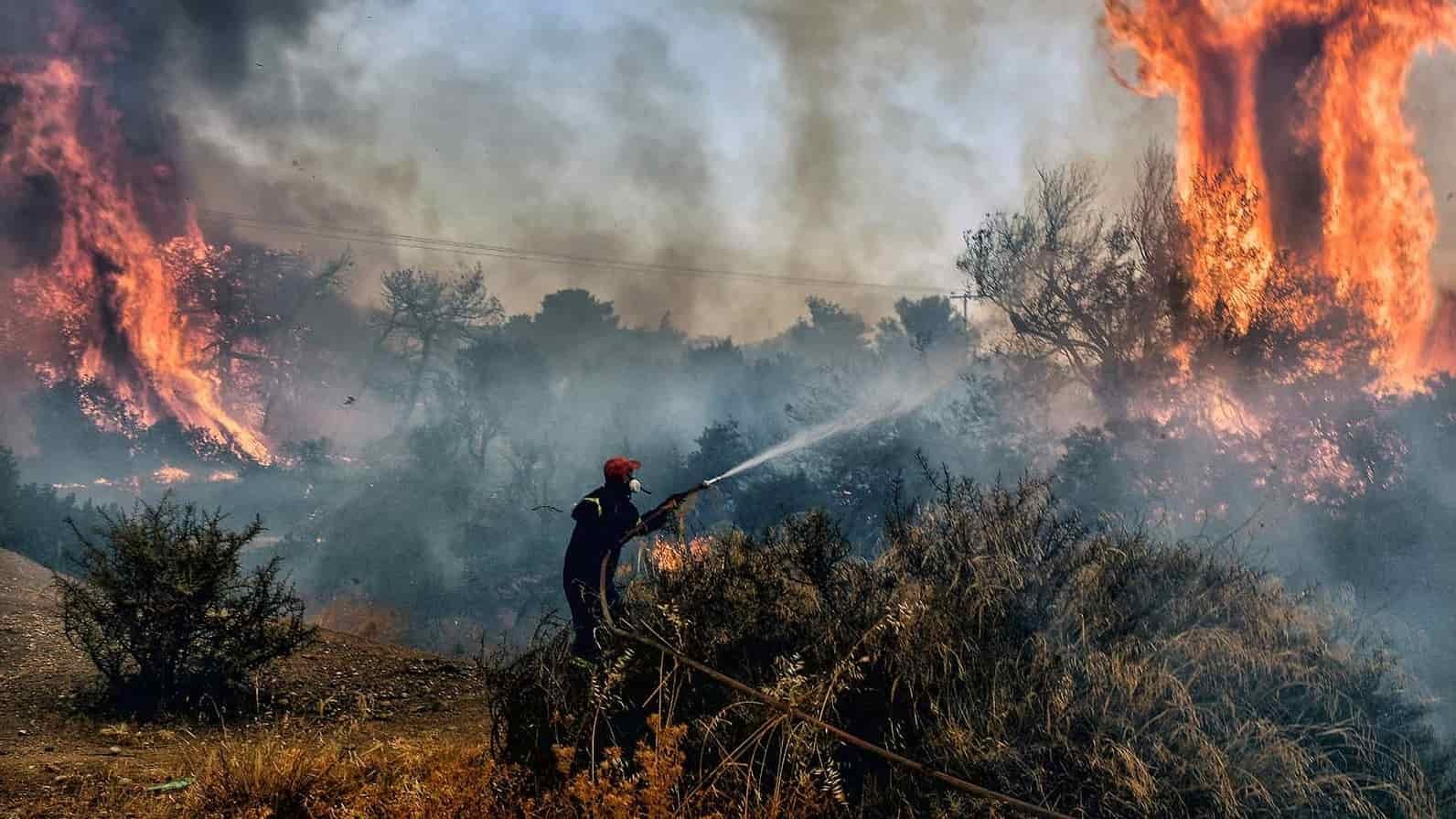 極端夏季氣候讓全球變得炙熱或氾濫