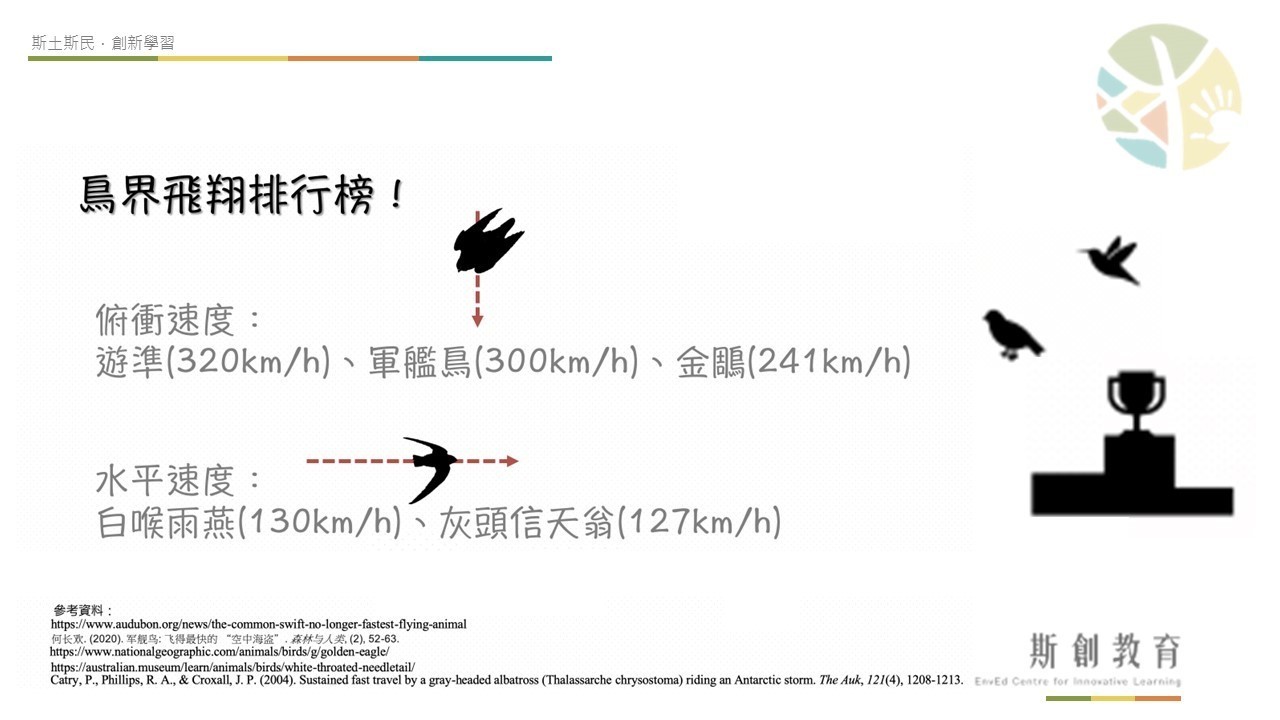 【都市博物學】你知道誰是飛得最快的鳥嗎？