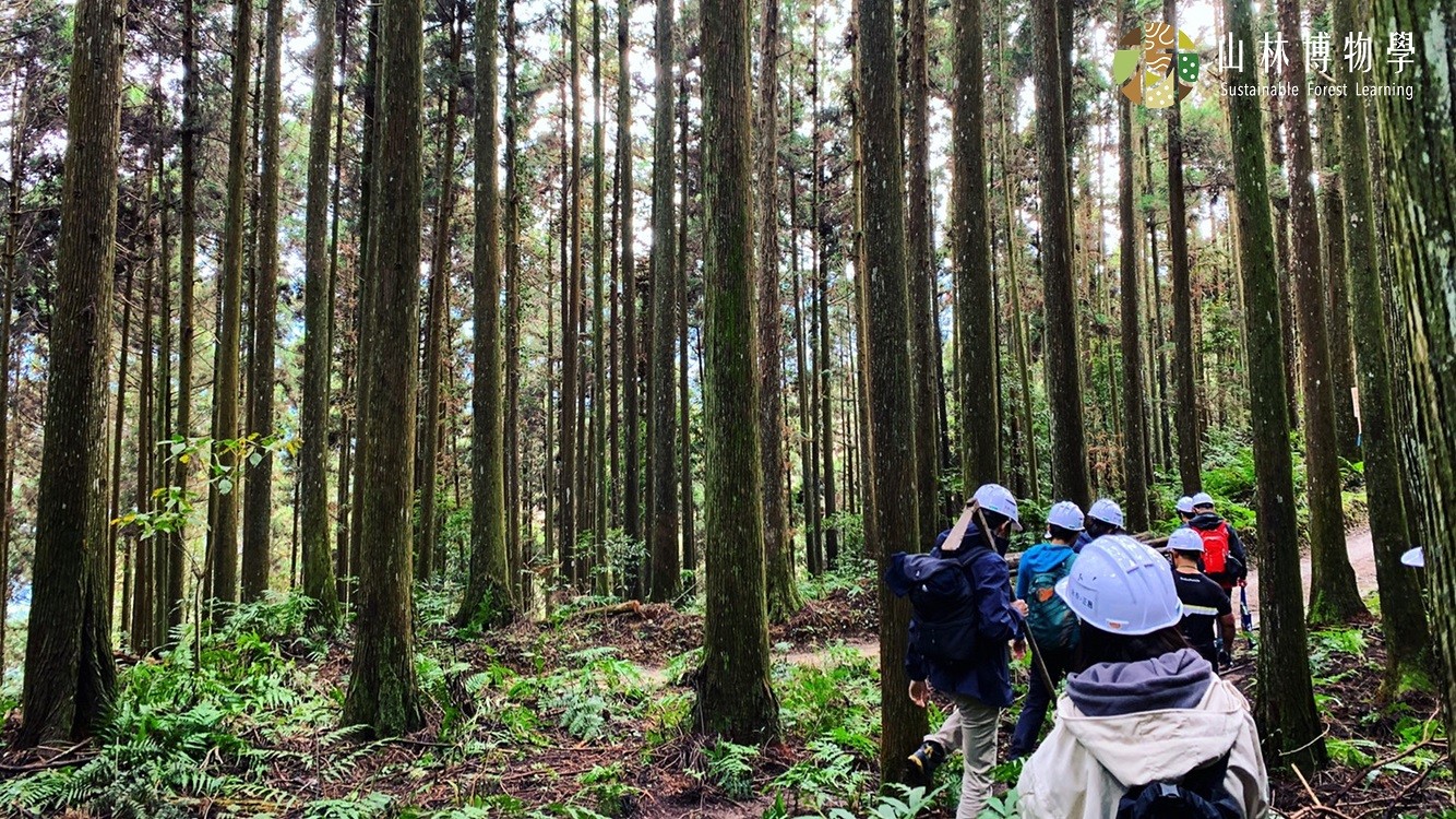 【山林博物學】企業旅讀ESG、淨零排放、森林碳匯的新選擇